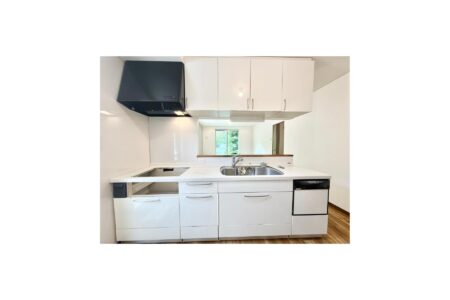 食器洗乾燥機付きの対面式システムキッチン